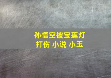 孙悟空被宝莲灯打伤 小说 小玉